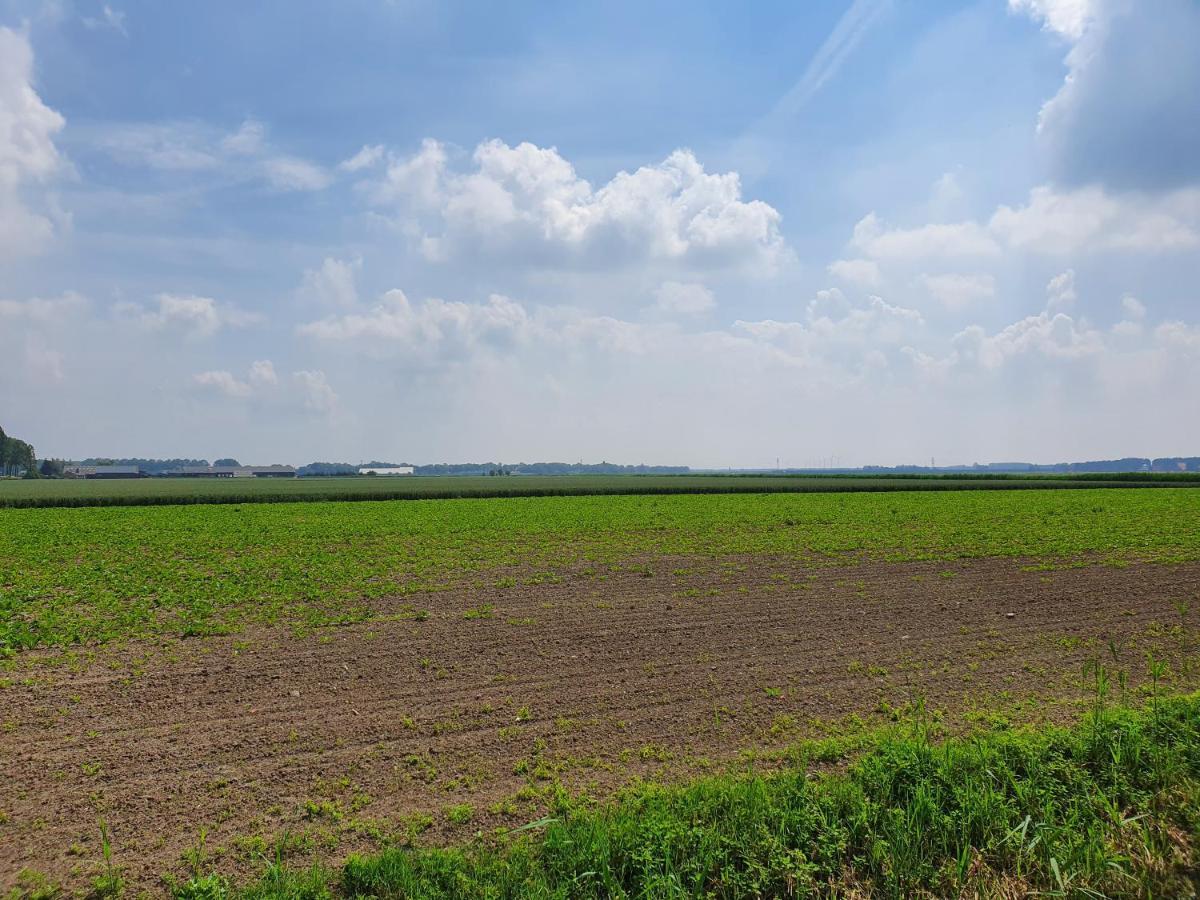 De Hoeksche Loods